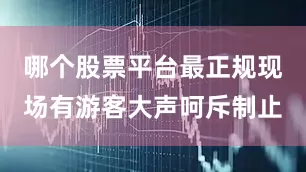 哪个股票平台最正规现场有游客大声呵斥制止