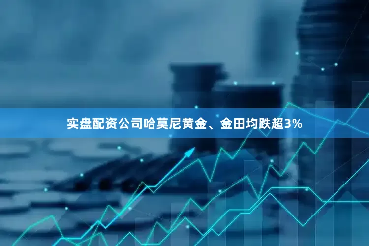 实盘配资公司哈莫尼黄金、金田均跌超3%