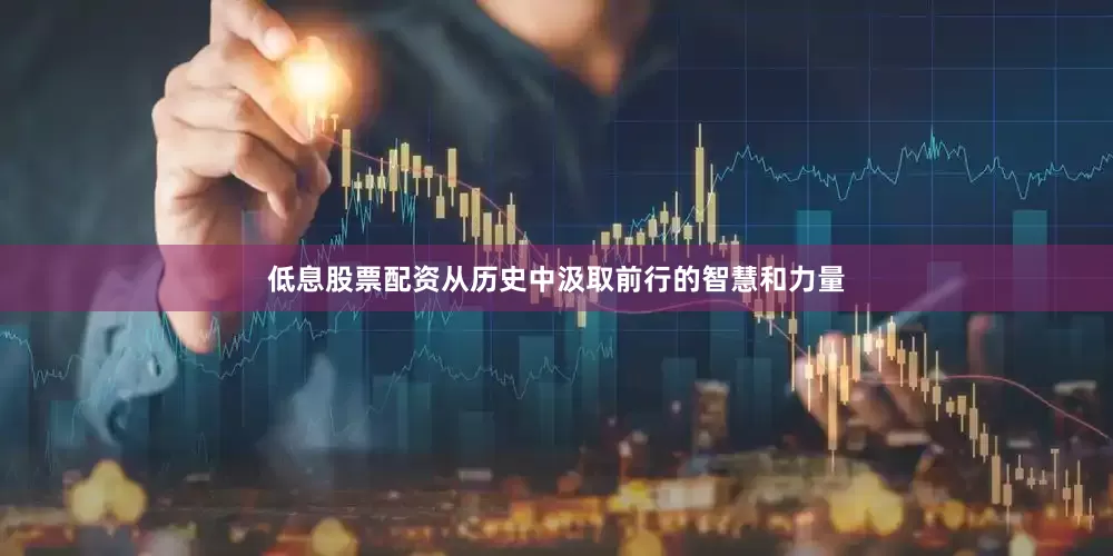 低息股票配资从历史中汲取前行的智慧和力量