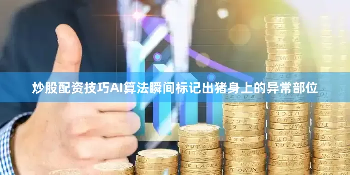 炒股配资技巧AI算法瞬间标记出猪身上的异常部位