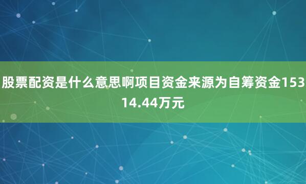股票配资是什么意思啊项目资金来源为自筹资金15314.44万元